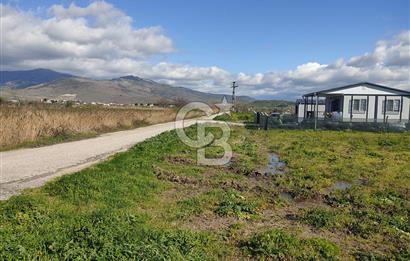 İZMİR MENEMEN TÜRKELLİDE 5200 M2 SATILIK TARLA