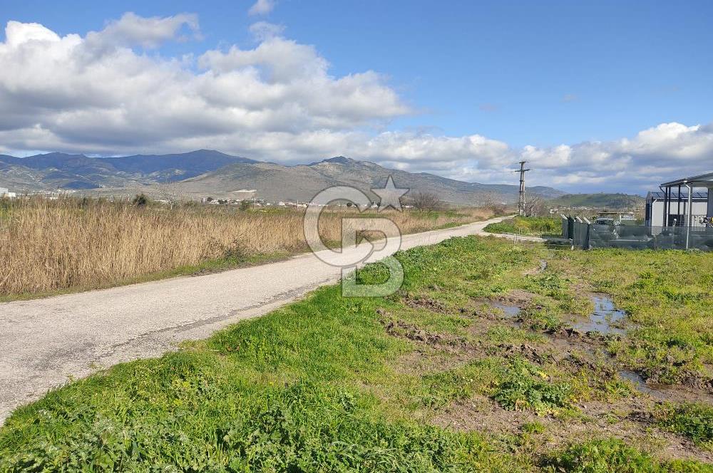 İZMİR MENEMEN TÜRKELLİDE 5200 M2 SATILIK TARLA