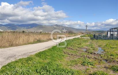 İZMİR MENEMEN TÜRKELLİDE 5200 M2 SATILIK TARLA