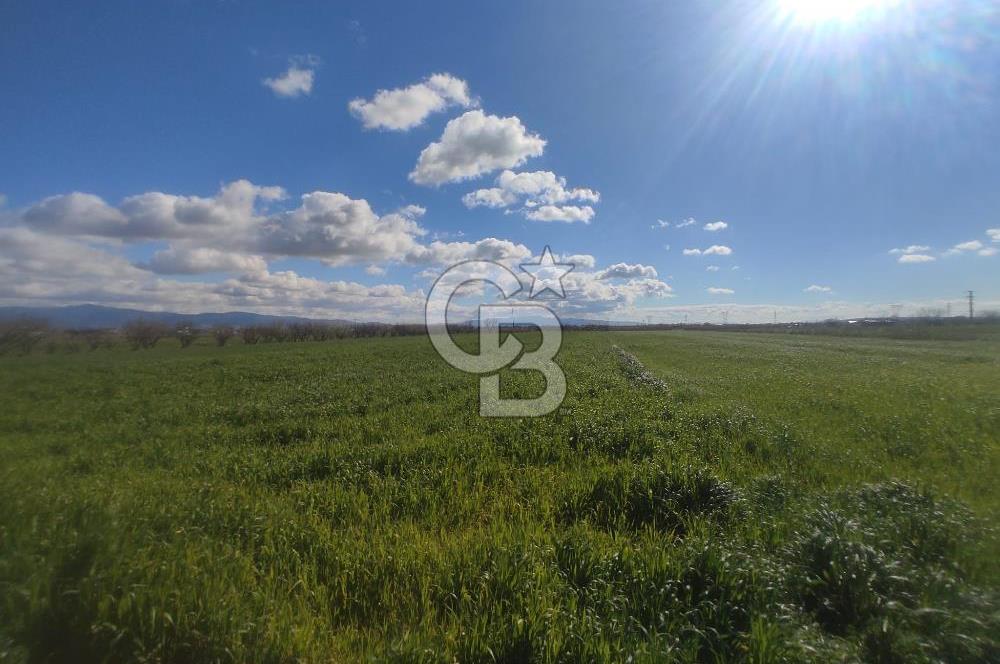 İZMİR MENEMEN TÜRKELLİDE 5200 M2 SATILIK TARLA