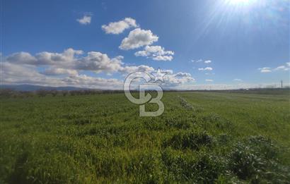 İZMİR MENEMEN TÜRKELLİDE 5200 M2 SATILIK TARLA