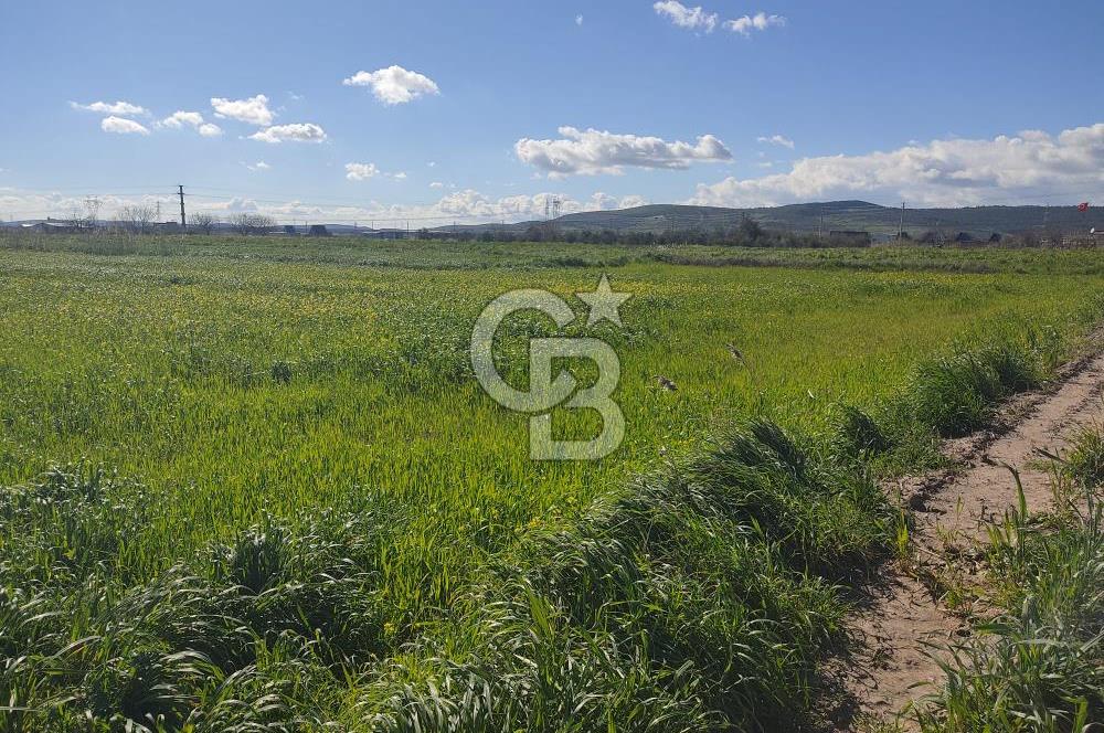 İZMİR MENEMEN TÜRKELLİDE 5200 M2 SATILIK TARLA