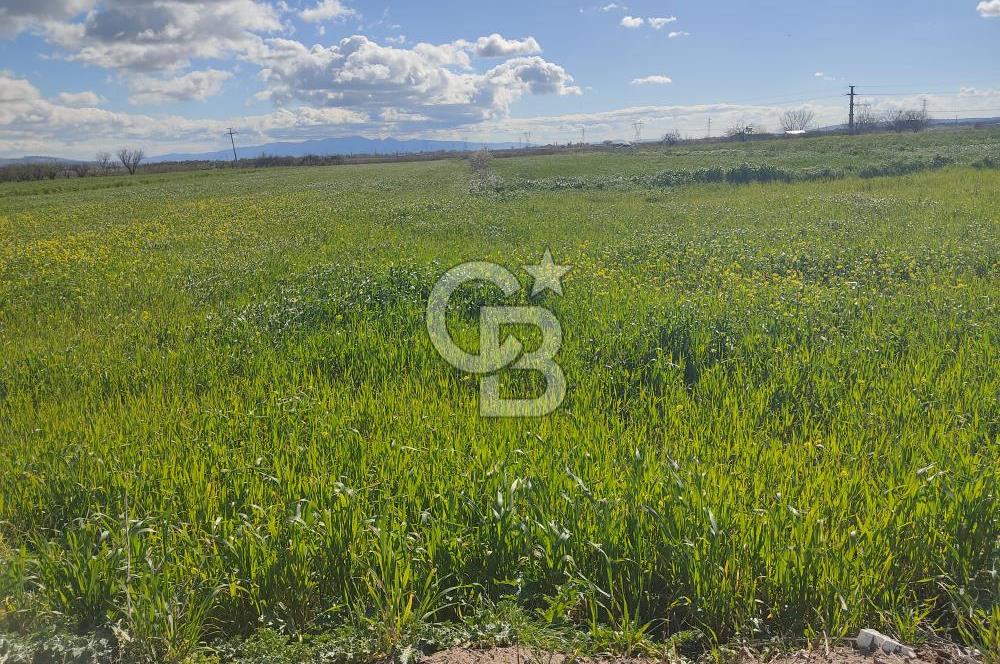 İZMİR MENEMEN TÜRKELLİDE 5200 M2 SATILIK TARLA