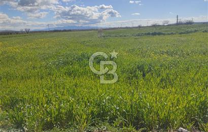 İZMİR MENEMEN TÜRKELLİDE 5200 M2 SATILIK TARLA