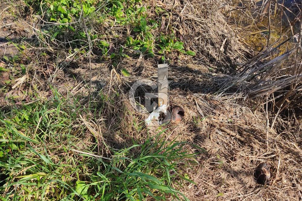 İZMİR MENEMEN TÜRKELLİDE 5200 M2 SATILIK TARLA