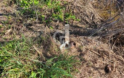 İZMİR MENEMEN TÜRKELLİDE 5200 M2 SATILIK TARLA