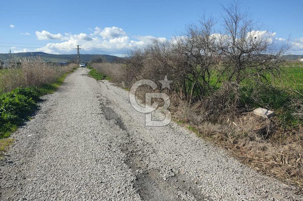 İZMİR MENEMEN TÜRKELLİDE 5200 M2 SATILIK TARLA