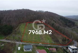 Kuzey Marmaraya Yakın Konumda Butik Villa Projesine Uygun ARSA - 1 - 336433