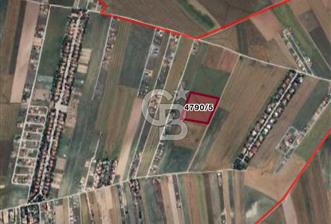 CB VİZYON BÜŞRA ERGÜL DEN AKYURT BÜĞDÜZ MH. TEK TAPU TARLA - 4 - 336451