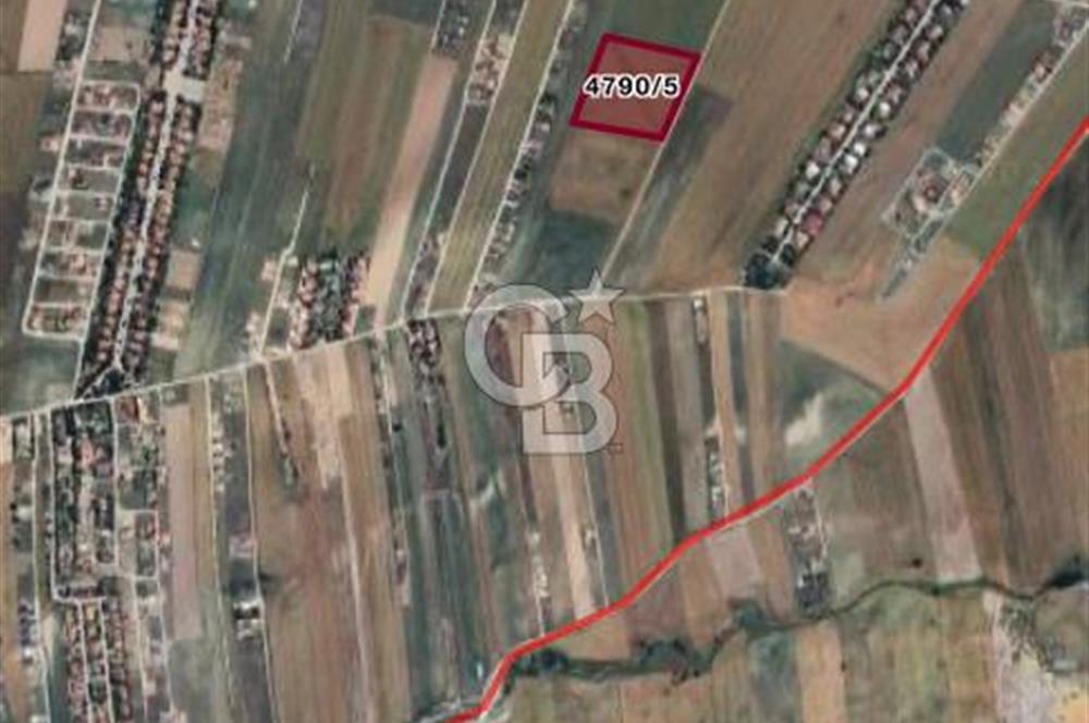 CB VİZYON BÜŞRA ERGÜL DEN AKYURT BÜĞDÜZ MH. TEK TAPU TARLA