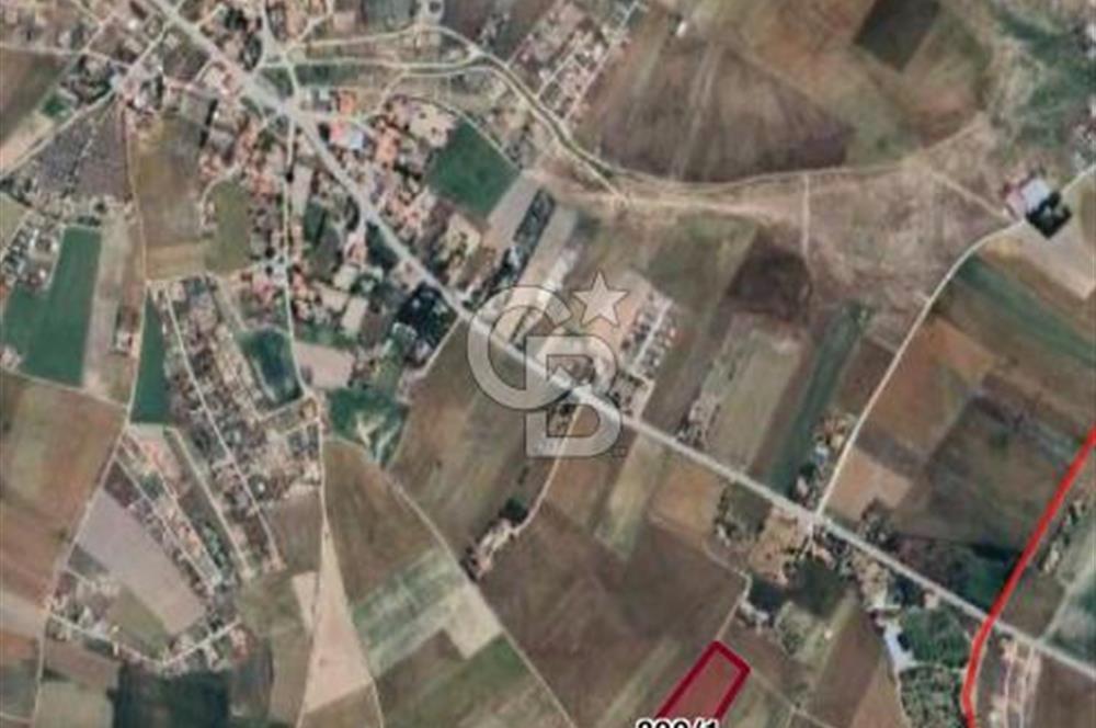 CB VİZYON BÜŞRA ERGÜL DEN ÇUBUK SÜNLÜ MH. TEK TAPU TARLA