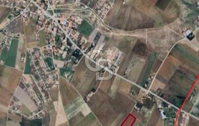 CB VİZYON BÜŞRA ERGÜL DEN ÇUBUK SÜNLÜ MH. TEK TAPU TARLA