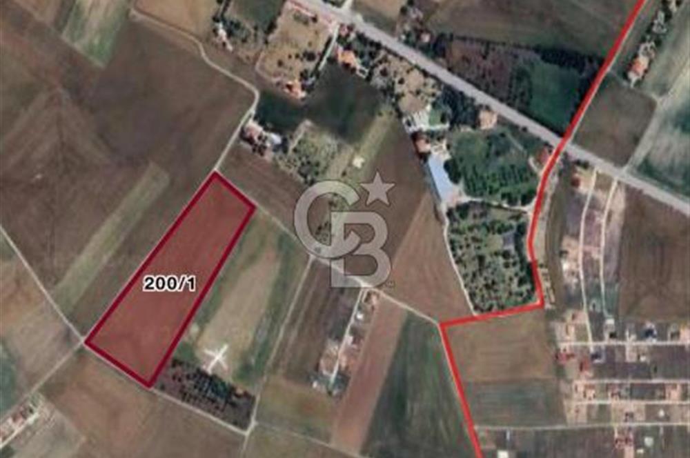 CB VİZYON BÜŞRA ERGÜL DEN ÇUBUK SÜNLÜ MH. TEK TAPU TARLA