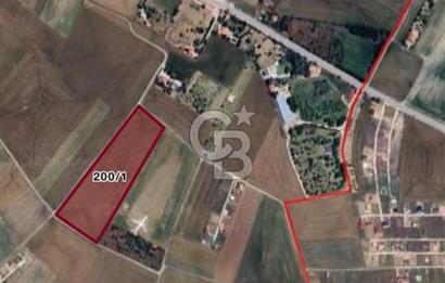 CB VİZYON BÜŞRA ERGÜL DEN ÇUBUK SÜNLÜ MH. TEK TAPU TARLA