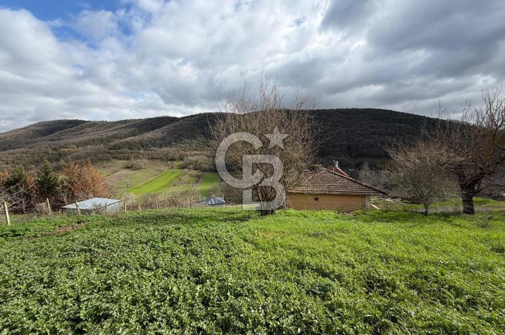 YALOVA ALTINOVA KARADERE KÖYÜNDE İMARLI SATALIK ARSA!