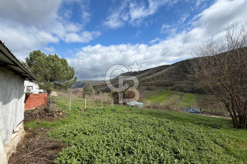 YALOVA ALTINOVA KARADERE KÖYÜNDE İMARLI SATALIK ARSA!