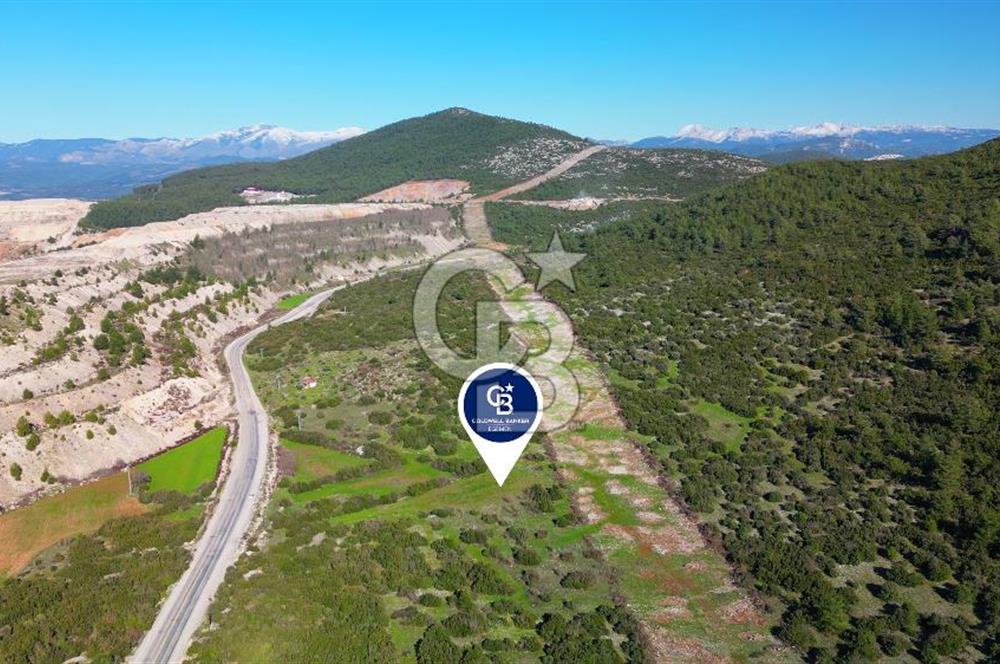 Muğla menteşe Kafaca Mahallesi’nde satılık 24.000 metrekare arazi