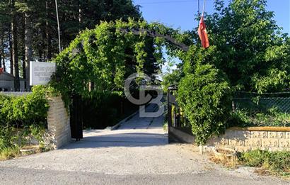 🌿 Ankara Çubuk Taşpınar’da 10.061 m² 2 Tapulu Satılık Çiftlik – Mesken, Bakıcı Evi ve Kargir Samanlık