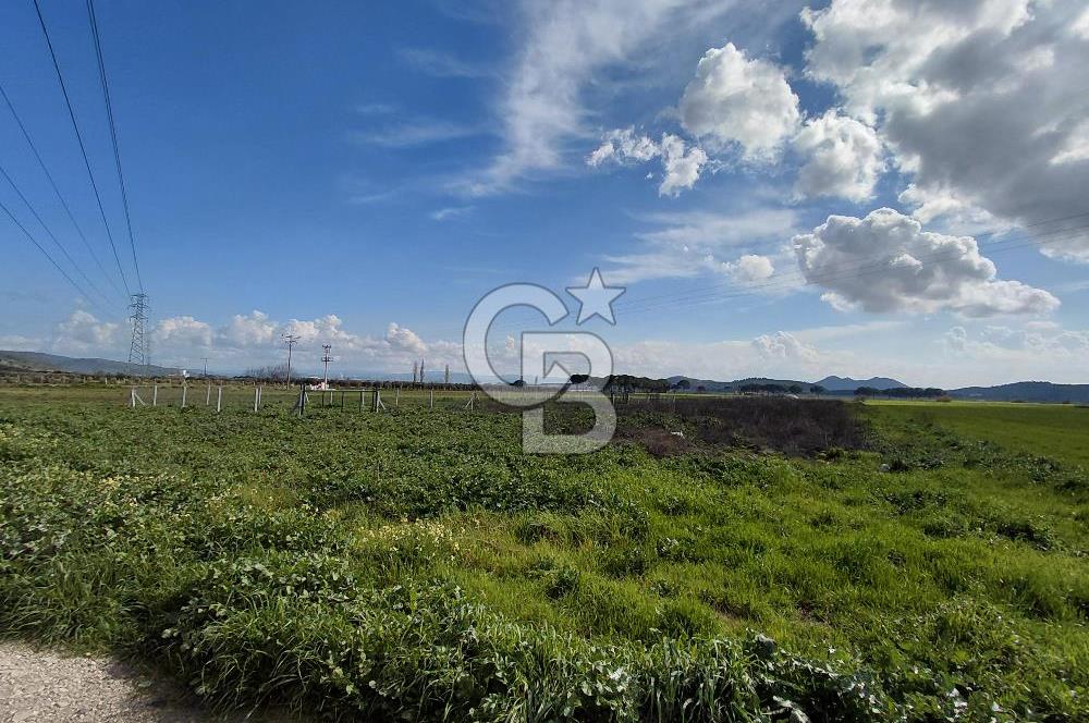 Dikili İsmetpaşa’da Asfalta 300 m | Sahil ve Merkeze Çok Yakın