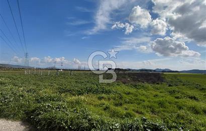 Dikili İsmetpaşa’da Asfalta 300 m | Sahil ve Merkeze Çok Yakın