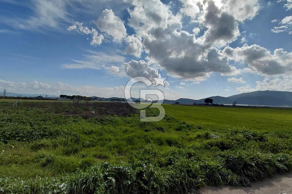 Dikili İsmetpaşa’da Asfalta 300 m | Sahil ve Merkeze Çok Yakın