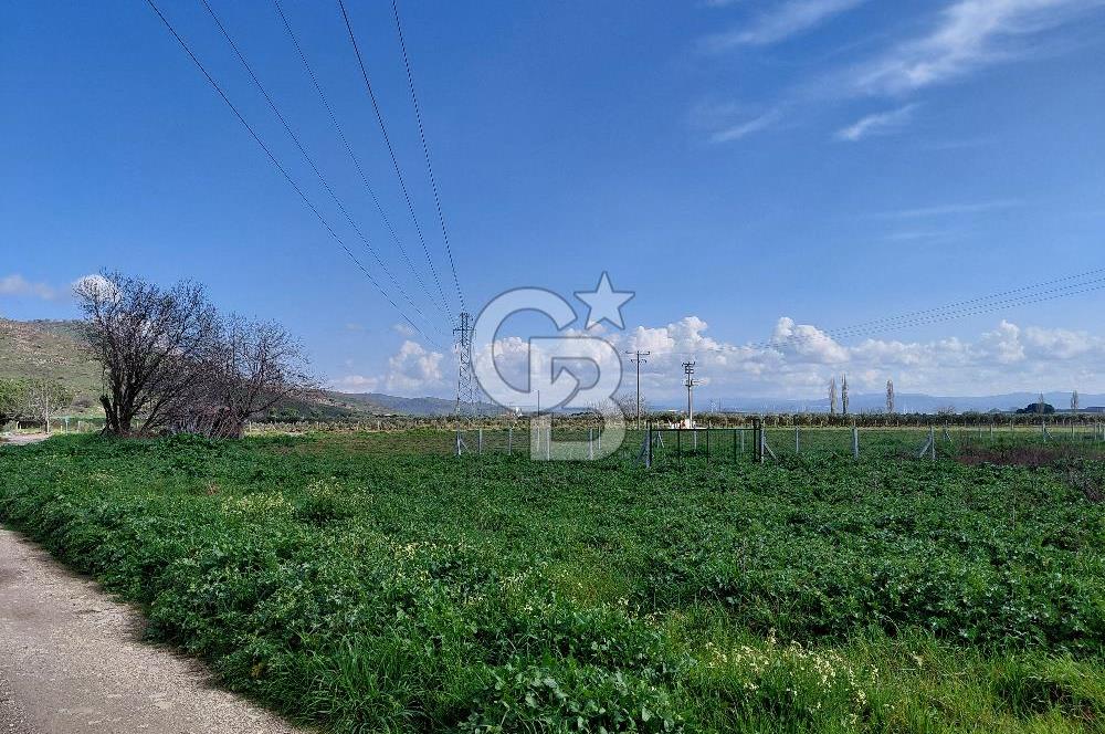 Dikili İsmetpaşa’da Asfalta 300 m | Sahil ve Merkeze Çok Yakın