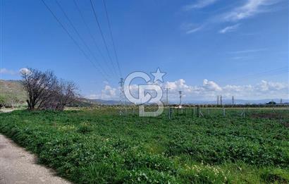 Dikili İsmetpaşa’da Asfalta 300 m | Sahil ve Merkeze Çok Yakın