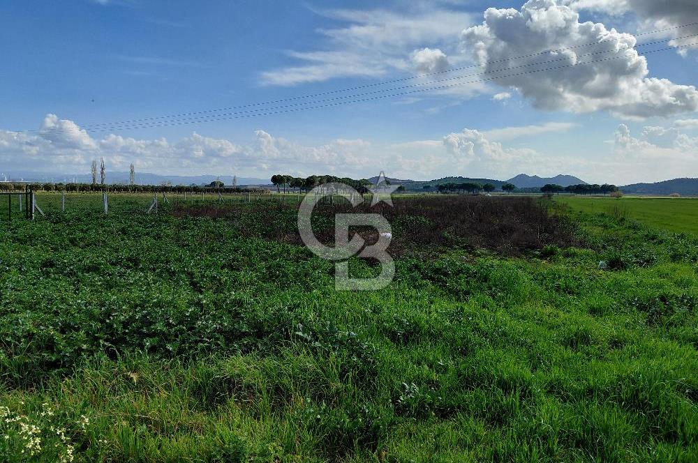 Dikili İsmetpaşa’da Asfalta 300 m | Sahil ve Merkeze Çok Yakın