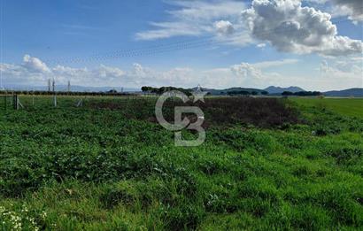 Dikili İsmetpaşa’da Asfalta 300 m | Sahil ve Merkeze Çok Yakın