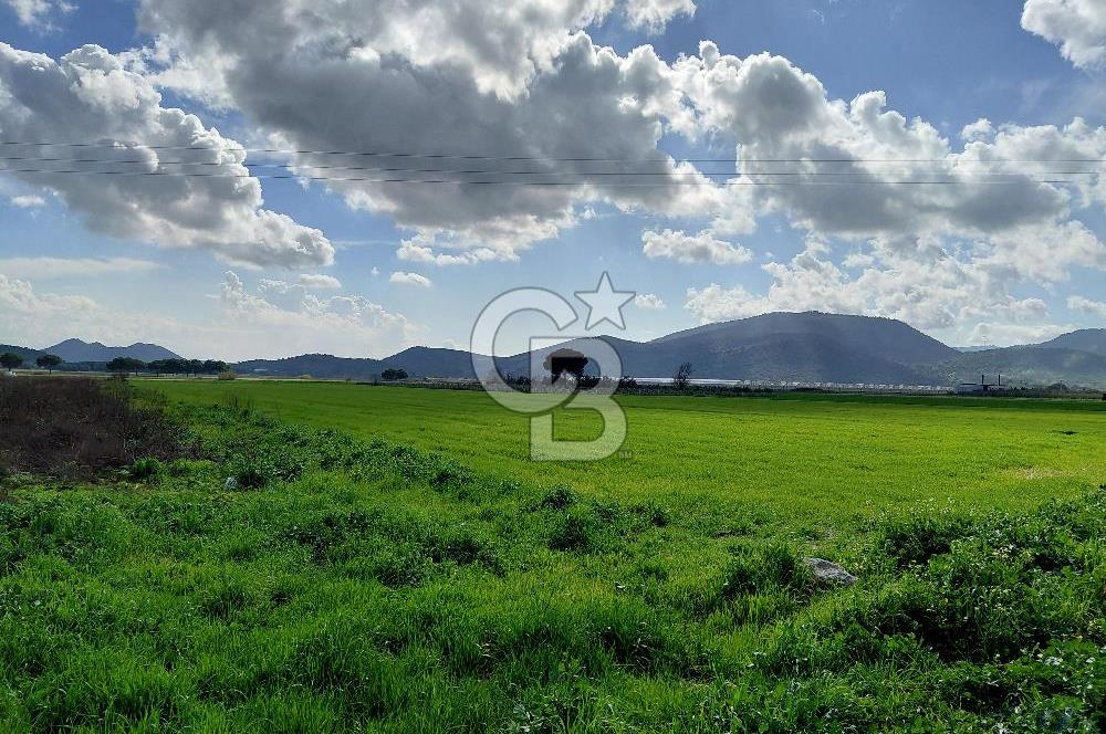 Dikili İsmetpaşa’da Asfalta 300 m | Sahil ve Merkeze Çok Yakın