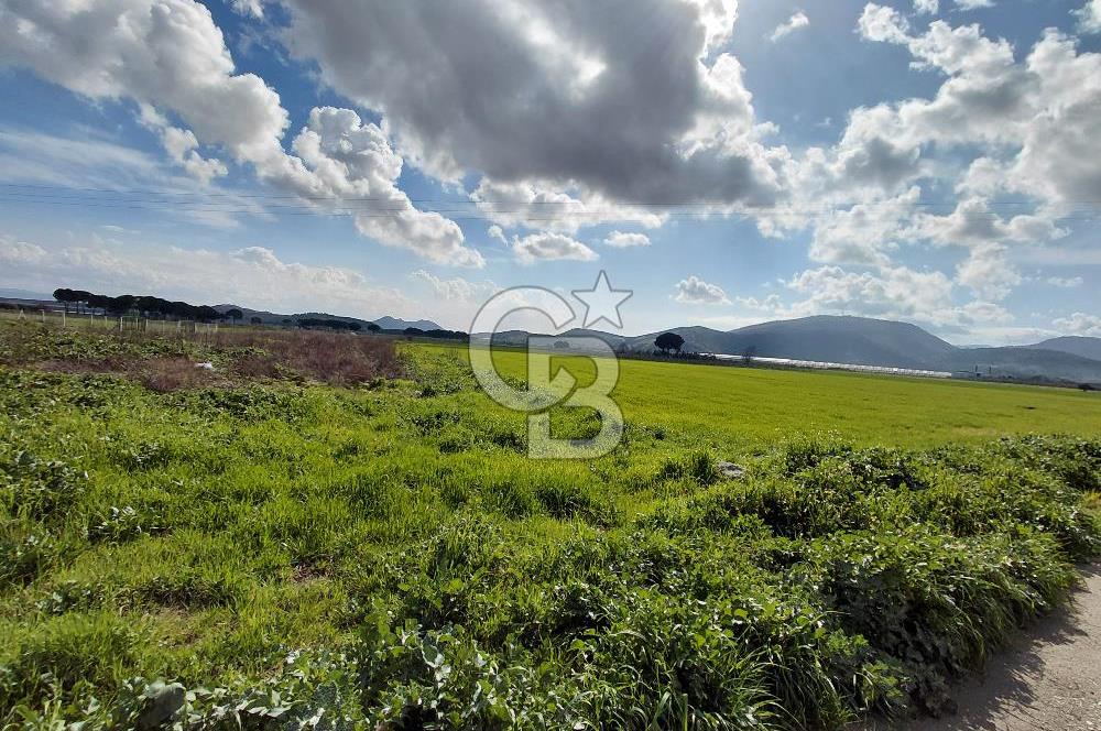 Dikili İsmetpaşa’da Asfalta 300 m | Sahil ve Merkeze Çok Yakın