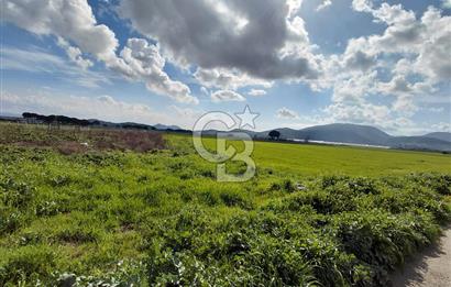 Dikili İsmetpaşa’da Asfalta 300 m | Sahil ve Merkeze Çok Yakın