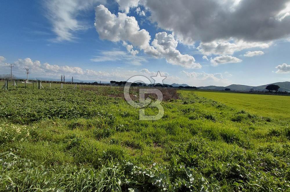 Dikili İsmetpaşa’da Asfalta 300 m | Sahil ve Merkeze Çok Yakın