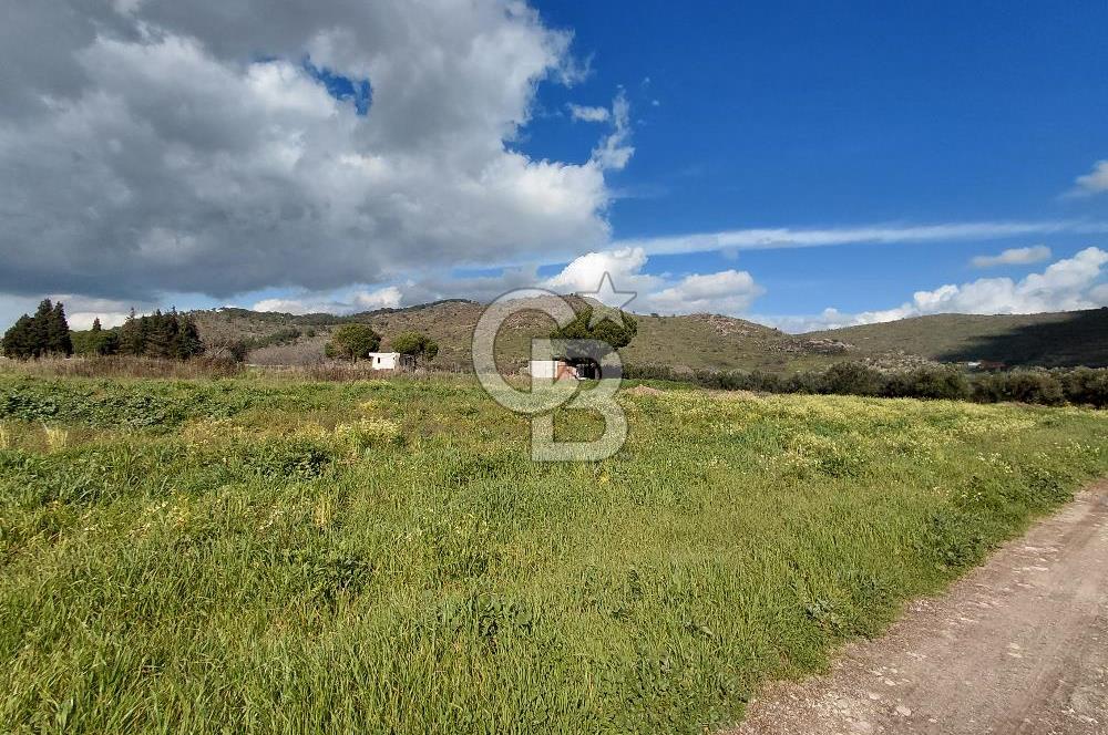 Dikili İsmetpaşa’da Asfalta 300 m | Sahil ve Merkeze Çok Yakın