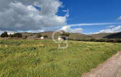 Dikili İsmetpaşa’da Asfalta 300 m | Sahil ve Merkeze Çok Yakın