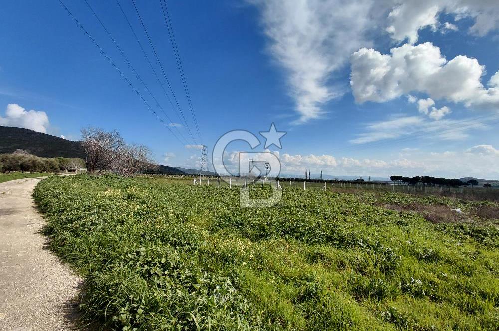 Dikili İsmetpaşa’da Asfalta 300 m | Sahil ve Merkeze Çok Yakın