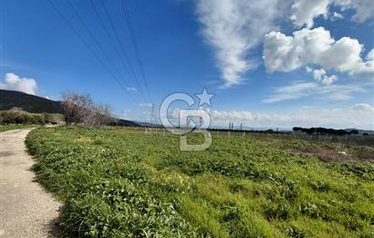 Dikili İsmetpaşa’da Asfalta 300 m | Sahil ve Merkeze Çok Yakın