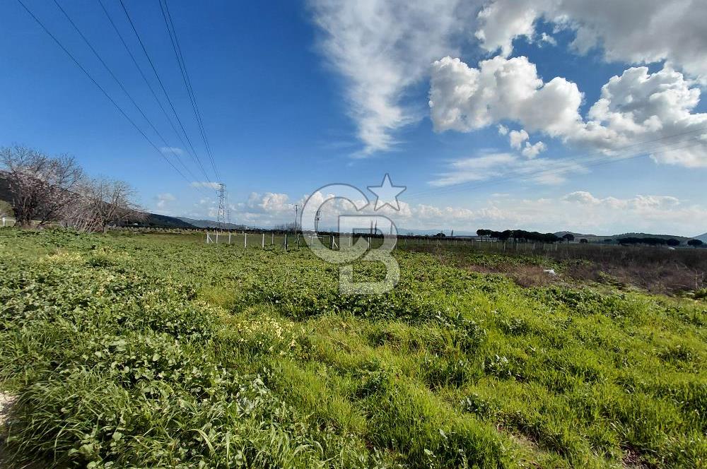 Dikili İsmetpaşa’da Asfalta 300 m | Sahil ve Merkeze Çok Yakın