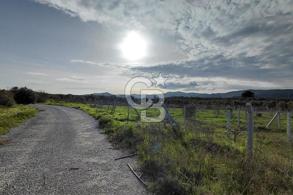 Dikili Demirtaş’ta Sahile Yakın, Özel Konumlu, Kaçırılmayacak Parsel