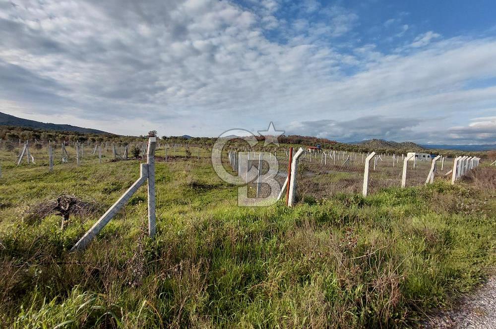 Dikili Demirtaş’ta Sahile Yakın, Özel Konumlu, Kaçırılmayacak Parsel