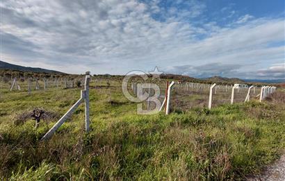 Dikili Demirtaş’ta Sahile Yakın, Özel Konumlu, Kaçırılmayacak Parsel