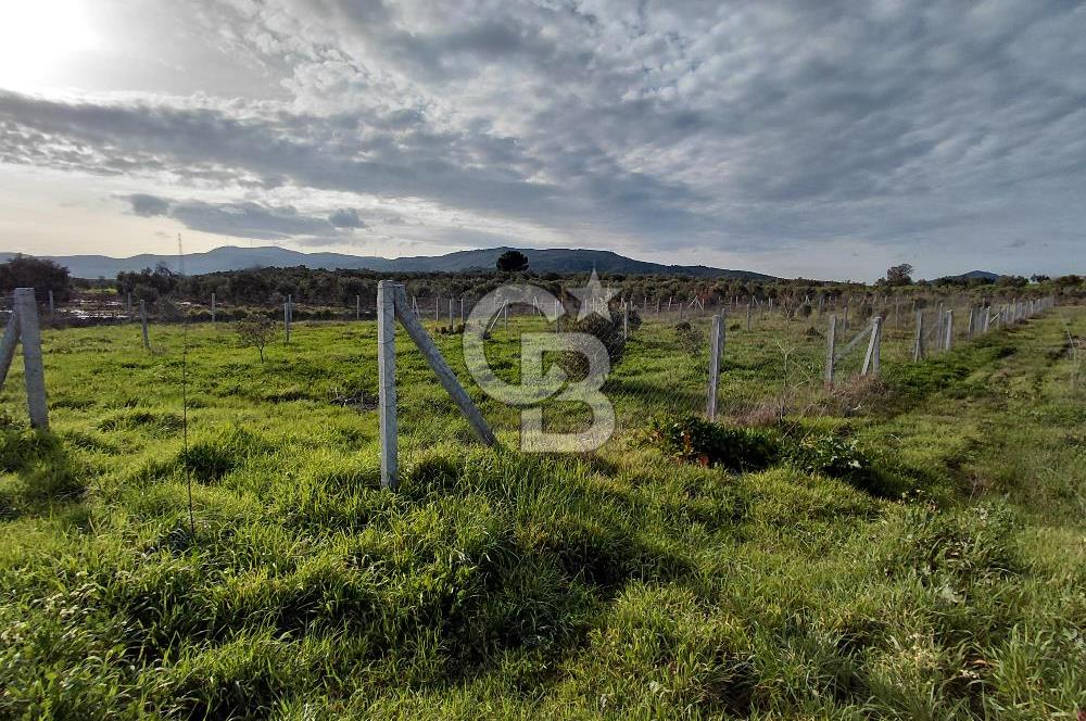 Dikili Demirtaş’ta Sahile Yakın, Özel Konumlu, Kaçırılmayacak Parsel