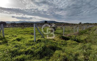 Dikili Demirtaş’ta Sahile Yakın, Özel Konumlu, Kaçırılmayacak Parsel