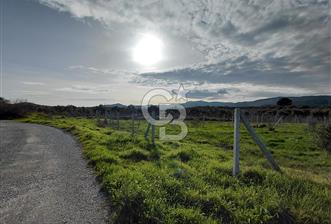 Dikili Demirtaş’ta Sahile Yakın, Özel Konumlu, Kaçırılmayacak Parsel - 1 - 336473