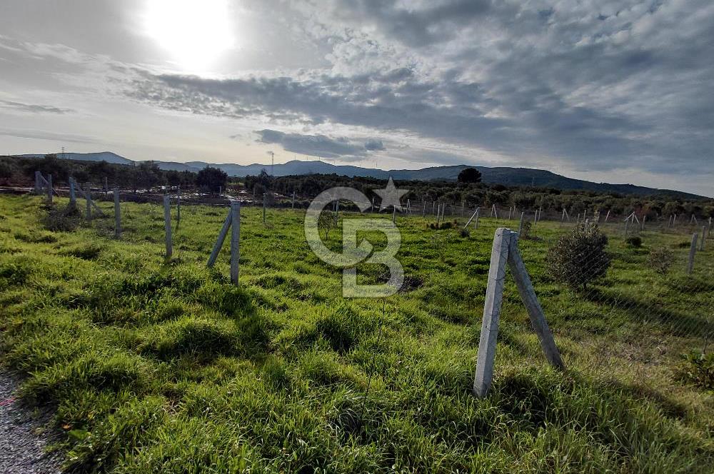 Dikili Demirtaş’ta Sahile Yakın, Özel Konumlu, Kaçırılmayacak Parsel