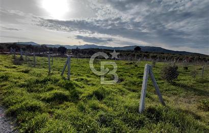 Dikili Demirtaş’ta Sahile Yakın, Özel Konumlu, Kaçırılmayacak Parsel