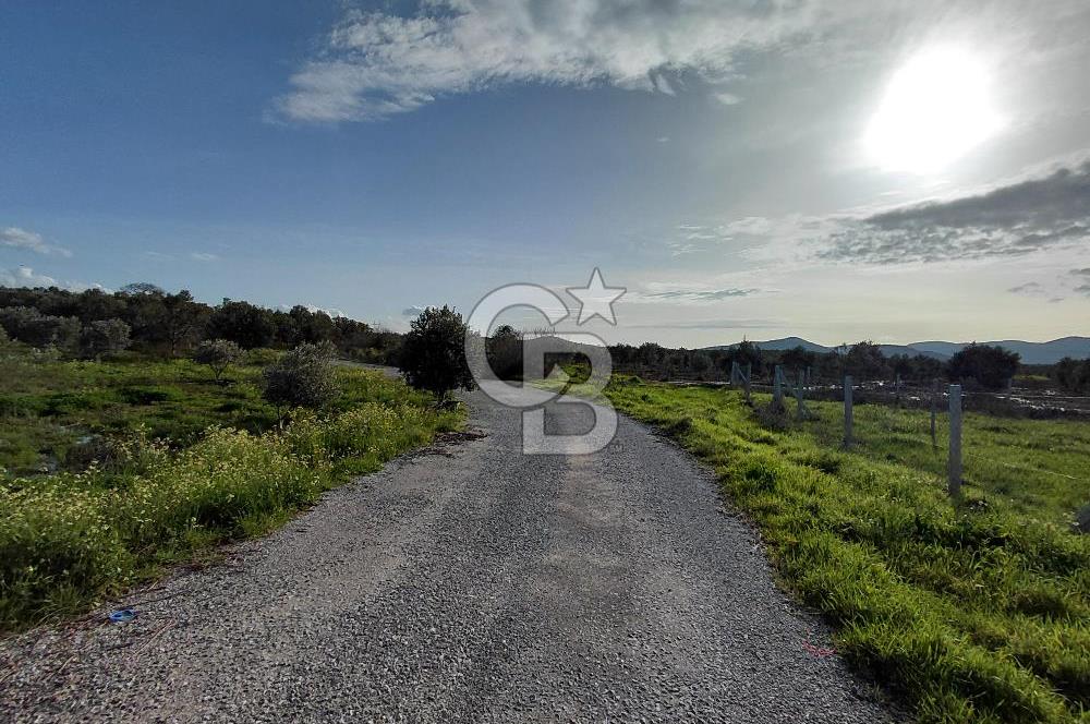 Dikili Demirtaş’ta Sahile Yakın, Özel Konumlu, Kaçırılmayacak Parsel