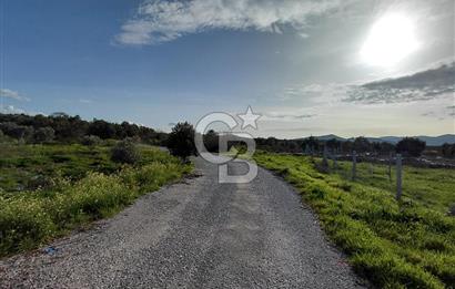 Dikili Demirtaş’ta Sahile Yakın, Özel Konumlu, Kaçırılmayacak Parsel