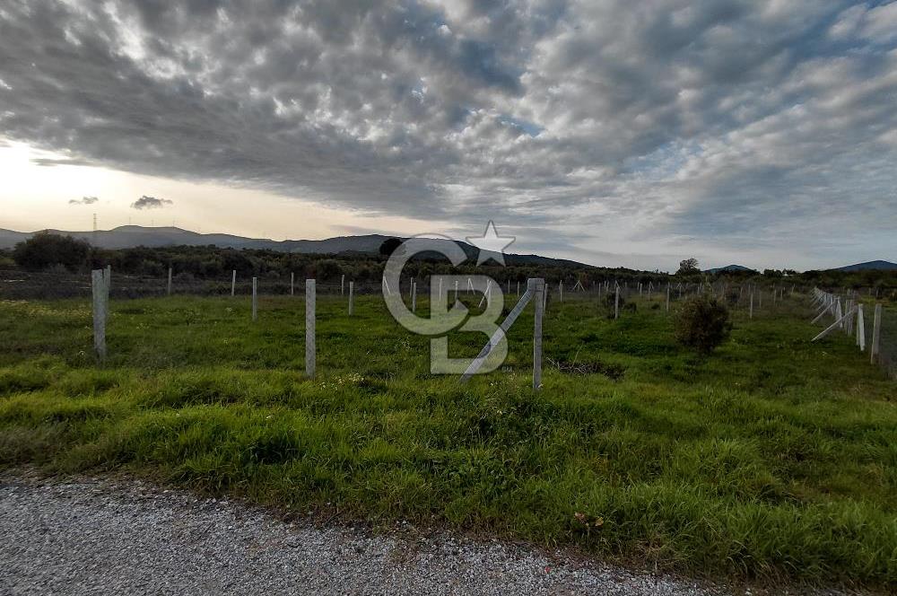 Dikili Demirtaş’ta Sahile Yakın, Özel Konumlu, Kaçırılmayacak Parsel