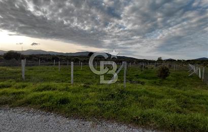 Dikili Demirtaş’ta Sahile Yakın, Özel Konumlu, Kaçırılmayacak Parsel